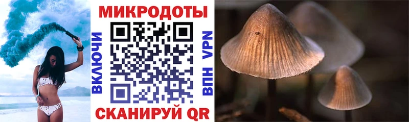 магазин    Лангепас  гидра зеркало  Псилоцибиновые грибы Psilocybe 